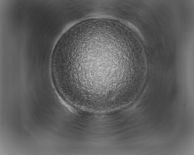 X0000070211231200606021247