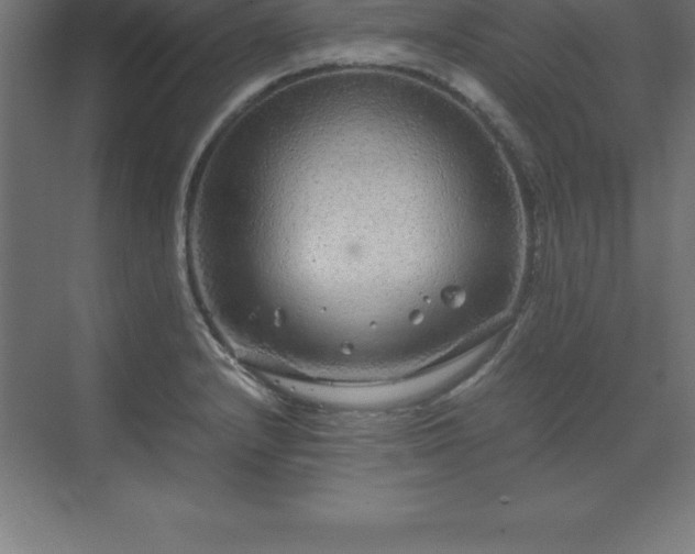 X0000070211232200606021247