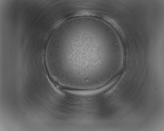 X0000070211233200606021247