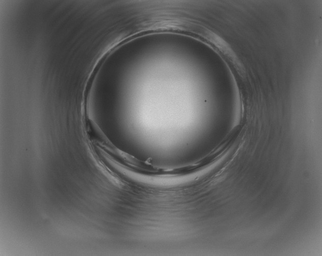 X0000070211234200606021247