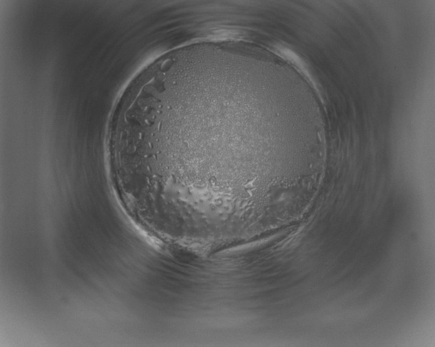 X0000070211235200606021247