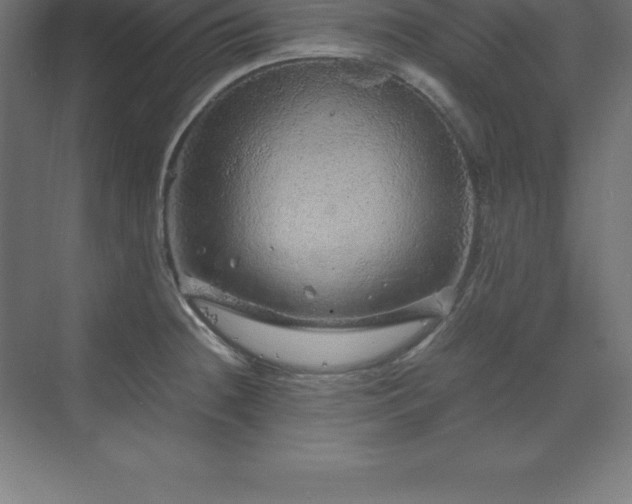 X0000070211236200606021247