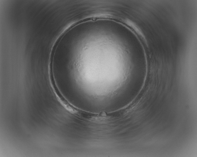 X0000070211237200606021247