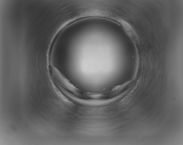 X0000070211238200606021247