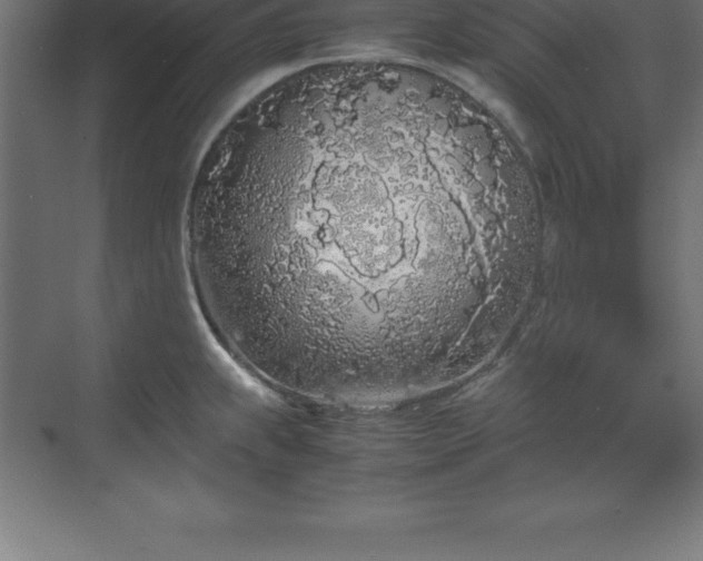 X0000070211239200606021247