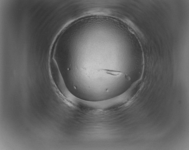 X0000070211240200606021247