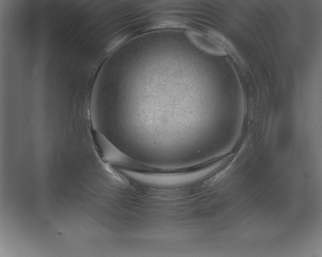 X0000070211241200606021247