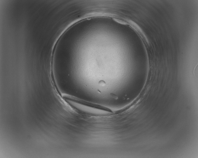 X0000070211244200606021247