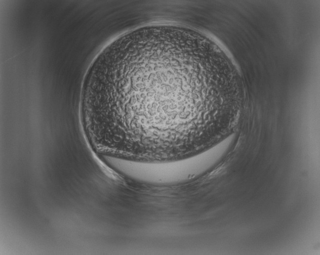 X0000070211245200606021247