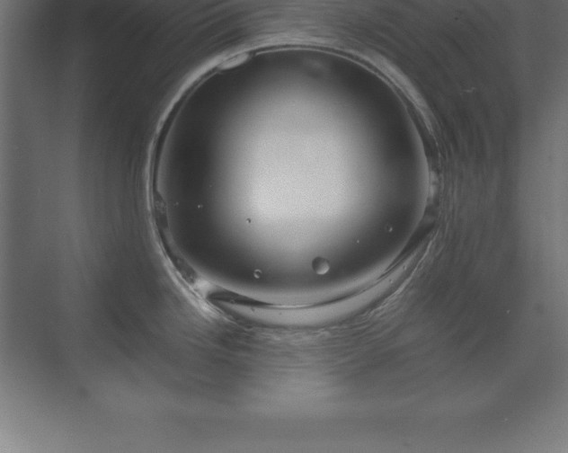 X0000070211246200606021247