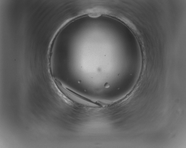 X0000070211248200606021247