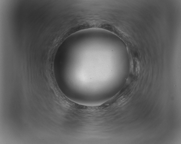 X0000070211249200606021246