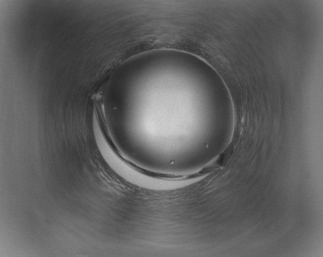 X0000070211250200606021246