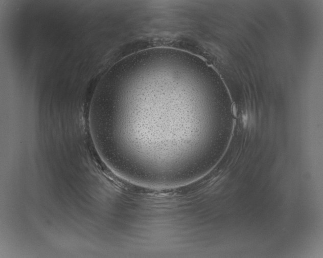 X0000070211252200606021246