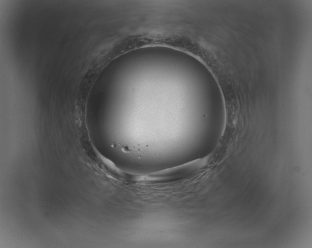 X0000070211253200606021246