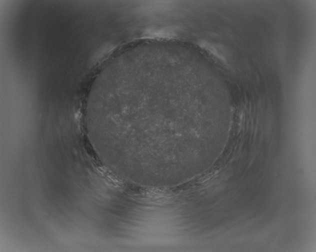 X0000070211254200606021246