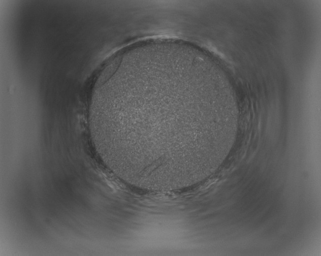 X0000070211255200606021246