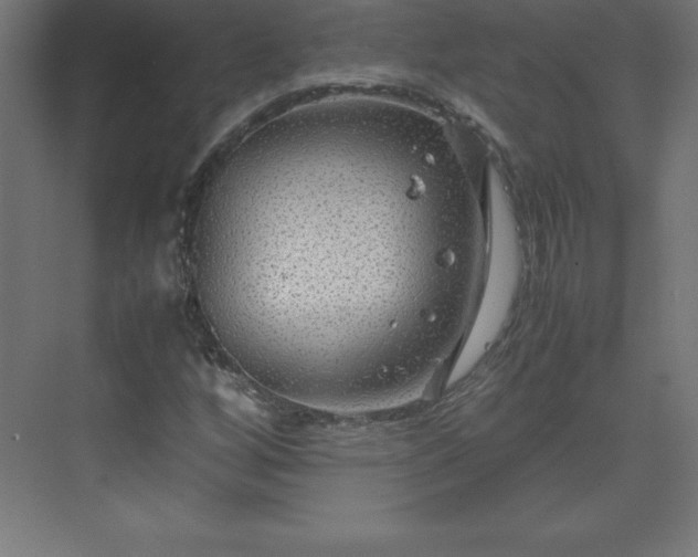 X0000070211256200606021246