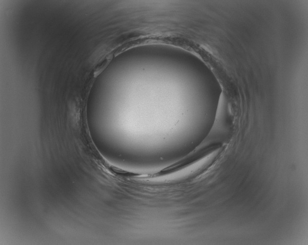 X0000070211257200606021246