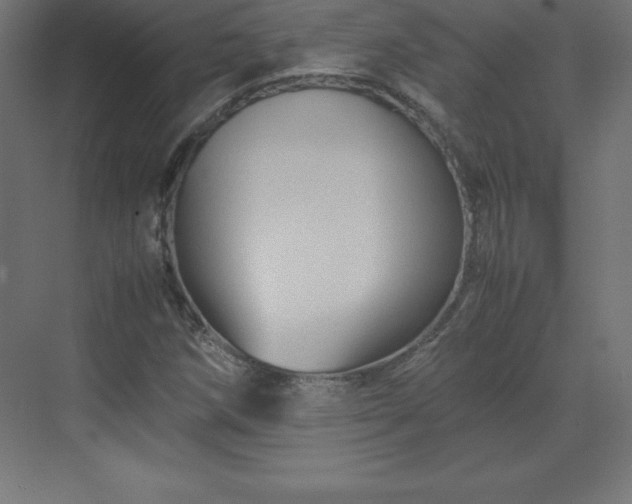 X0000070211258200606021246