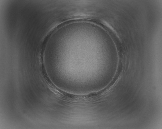 X0000070211259200606021246