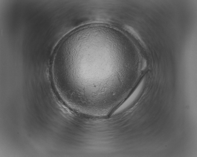 X0000070211260200606021246