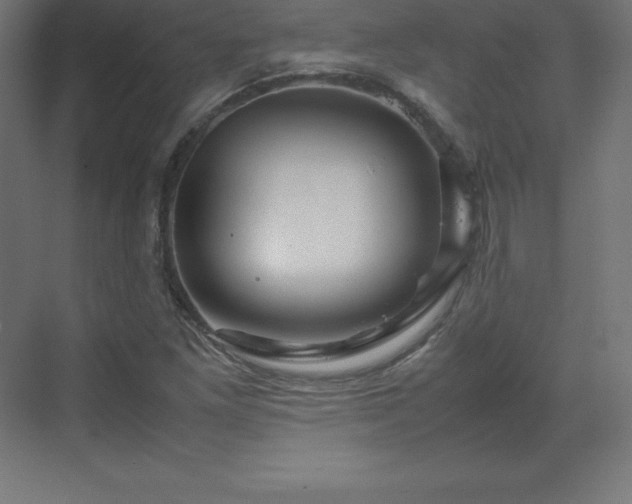 X0000070211261200606021246