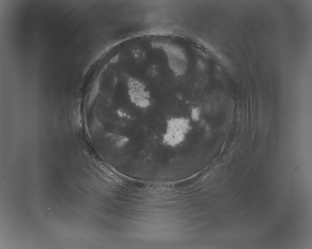 X0000070211262200606021246