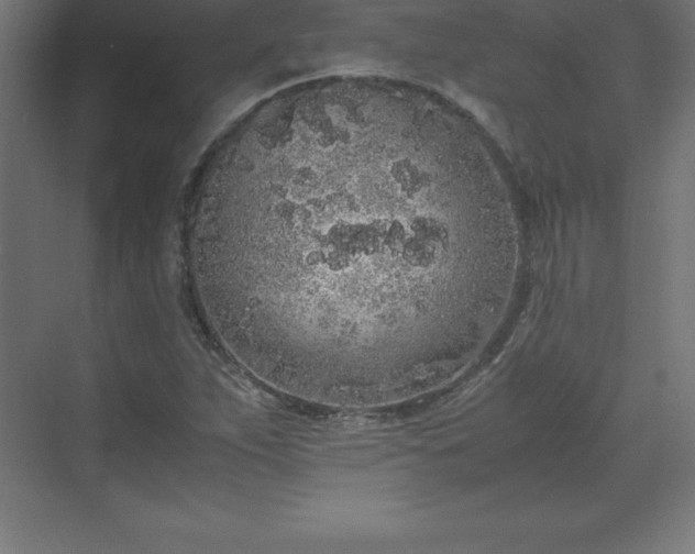 X0000070211263200606021246