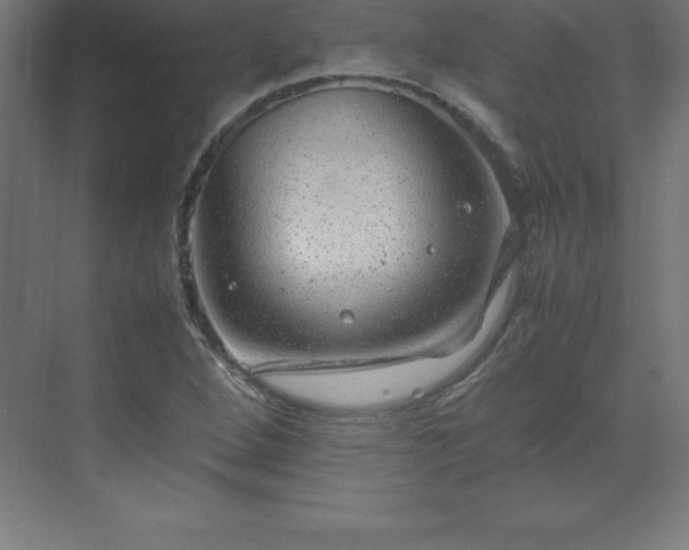 X0000070211264200606021246