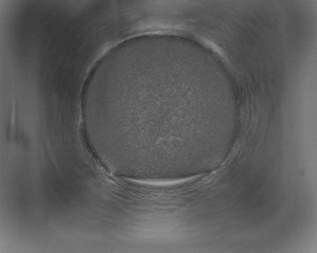 X0000070211267200606021246