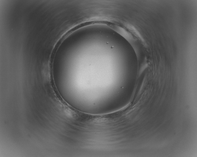 X0000070211268200606021246