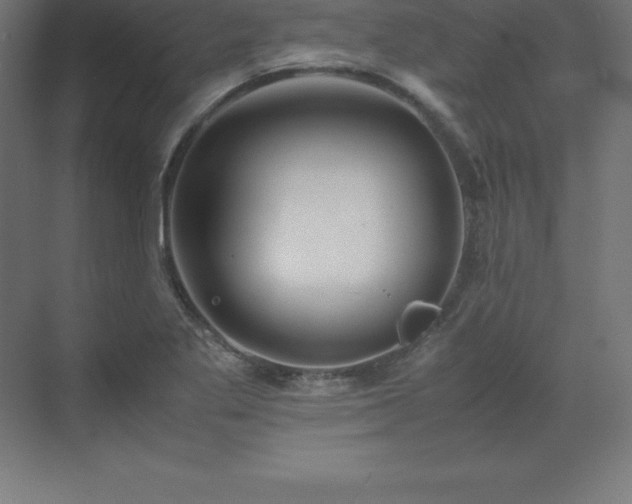 X0000070211269200606021246