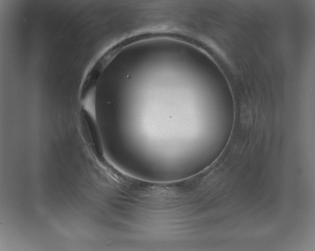 X0000070211270200606021246