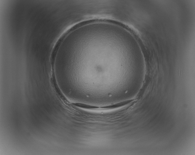 X0000070211271200606021246