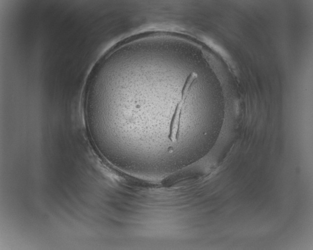 X0000070211272200606021246