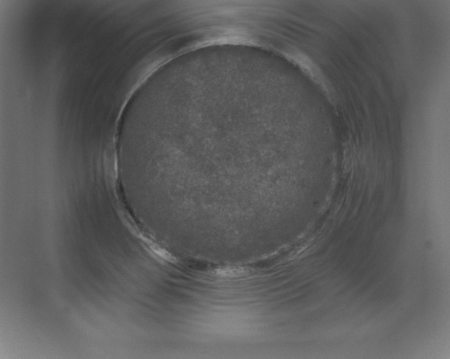 X0000070211274200606021246