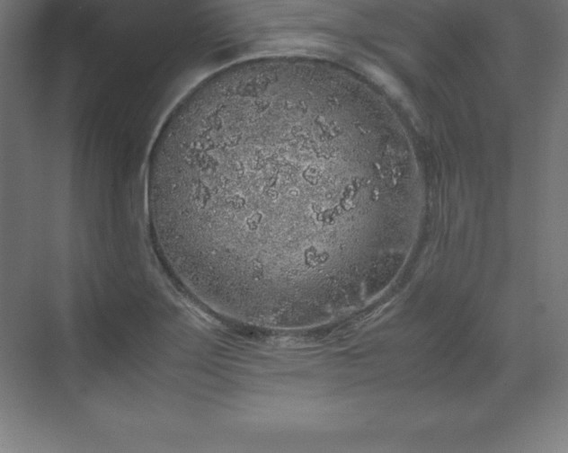 X0000070211275200606021246