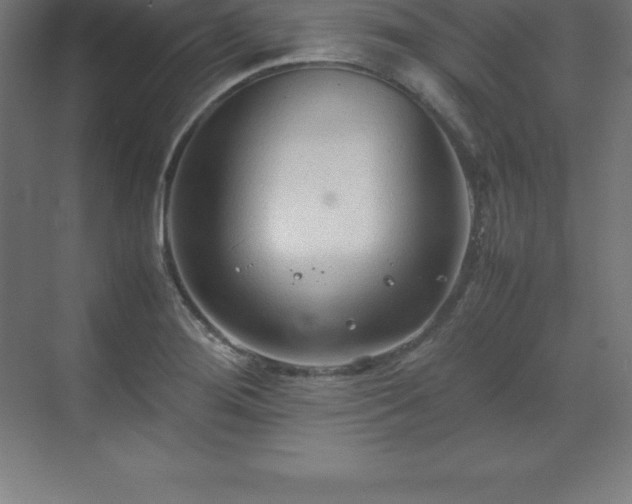 X0000070211276200606021246