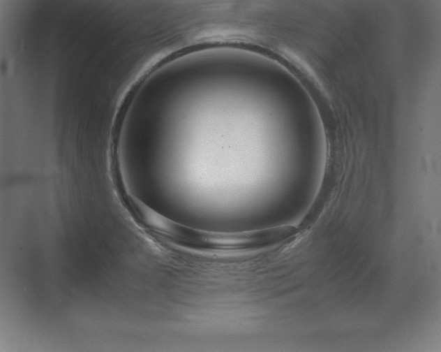 X0000070211277200606021246