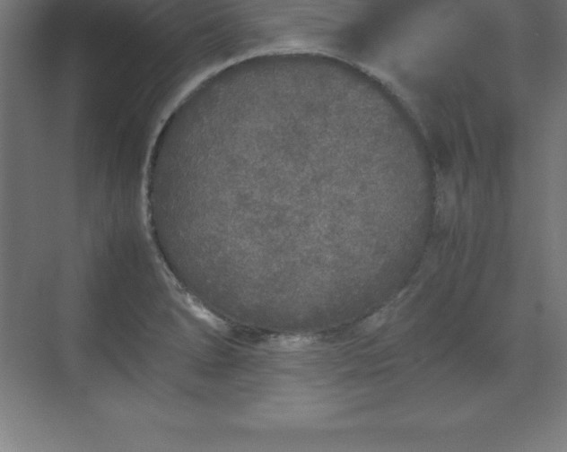 X0000070211278200606021246