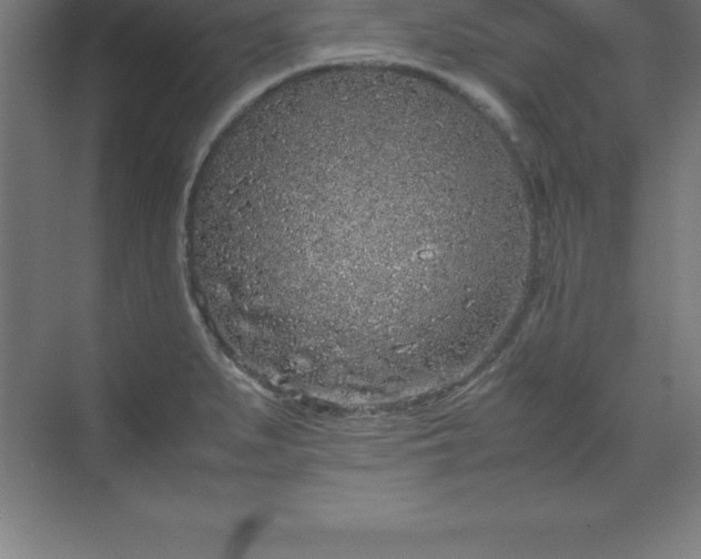 X0000070211279200606021246