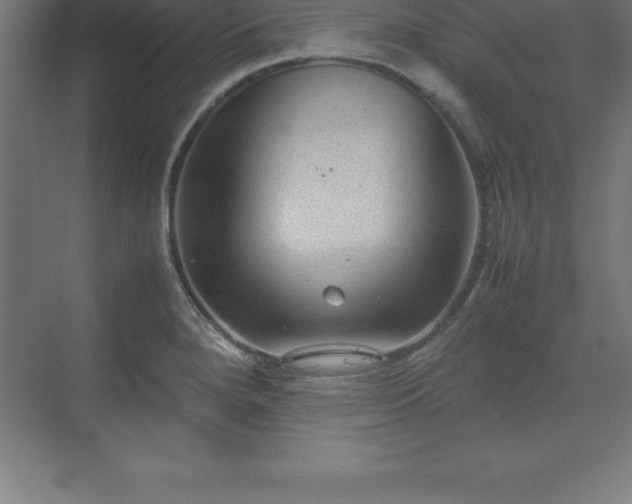 X0000070211280200606021246