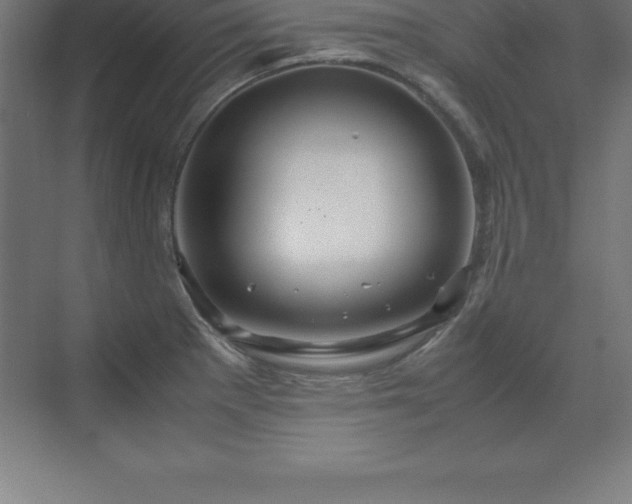 X0000070211281200606021246