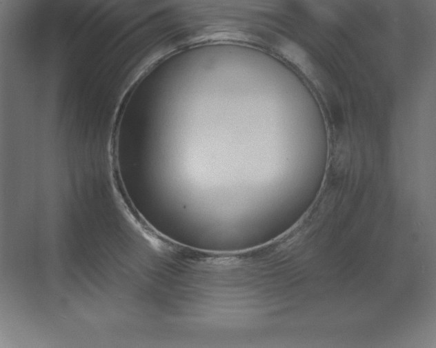 X0000070211282200606021246