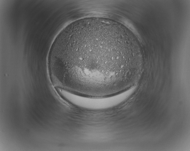 X0000070211283200606021246