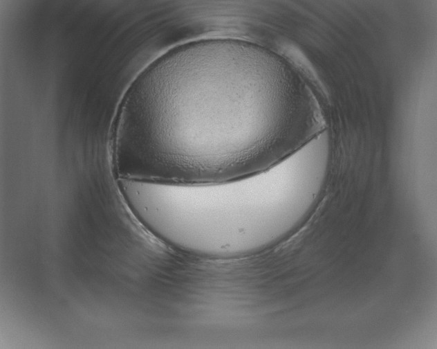 X0000070211284200606021245