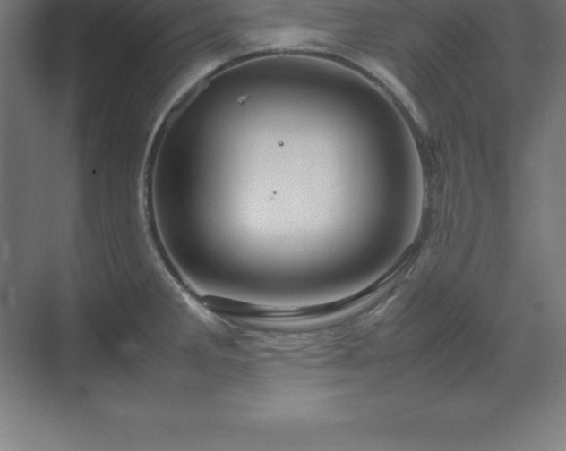 X0000070211285200606021245