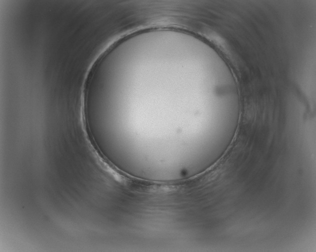 X0000070211286200606021245