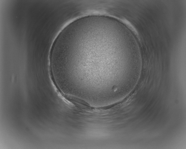 X0000070211287200606021245